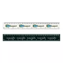 Flip 30cm Plastic Ruler