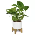 Ceramic Planter with Bamboo Base