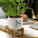 Ceramic Planter with Bamboo Base