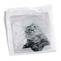 Utopia Plush Cushion