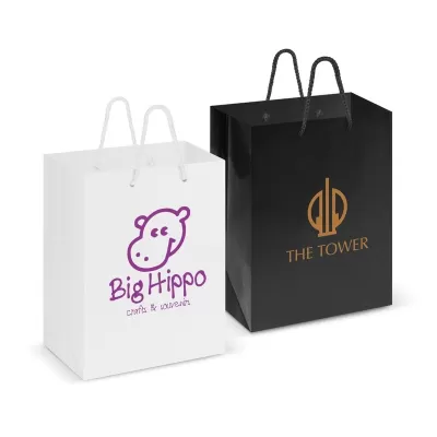 Medium Laminated Paper Carry Bag