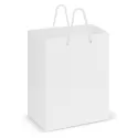 Medium Laminated Paper Carry Bag