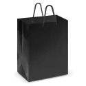 Medium Laminated Paper Carry Bag