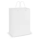 Large Laminated Paper Carry Bag