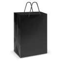 Large Laminated Paper Carry Bag