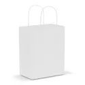 Medium Paper Carry Bag