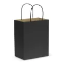 Medium Paper Carry Bag