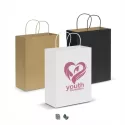 Large Paper Carry Bag