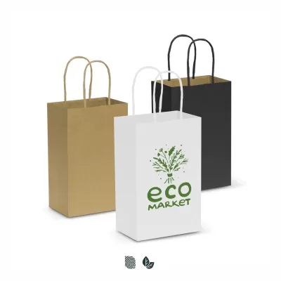 Small Paper Carry Bag