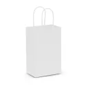 Small Paper Carry Bag