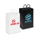 Small Laminated Paper Carry Bag
