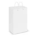Small Laminated Paper Carry Bag