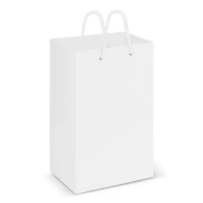 Small Laminated Paper Carry Bag
