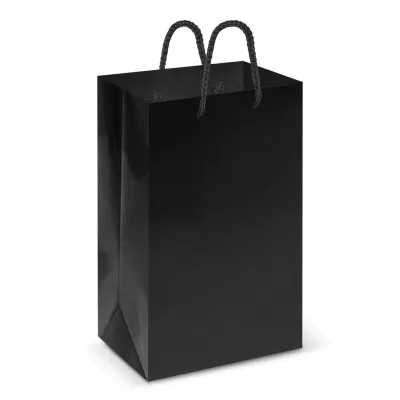 Small Laminated Paper Carry Bag
