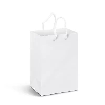 Small Full Colour Laminated Paper Carry Bag