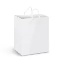 Medium Full Colour Laminated Paper Carry Bag