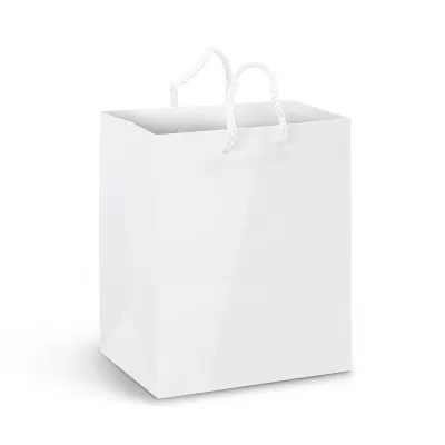 Medium Full Colour Laminated Paper Carry Bag