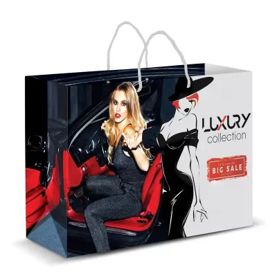 Extra Large Full Colour Laminated Paper Carry Bag