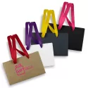 Small 180gsm Ribbon Handle Paper Bag