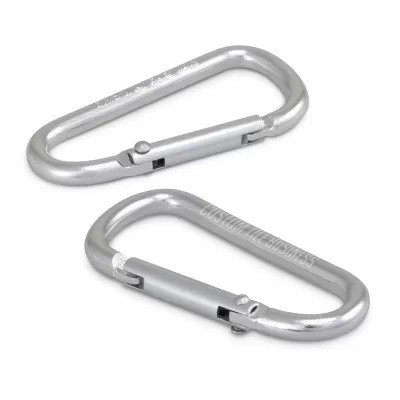 Stainless Steel Carabiner