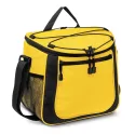 Aspiring 13L Polyester Cooler Bag