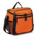 Aspiring 13L Polyester Cooler Bag