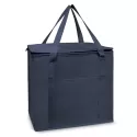 Sierra 19L Non-Woven Shopping Cooler Bag