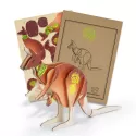 BRANDCRAFT Kangaroo Wooden Model Kit