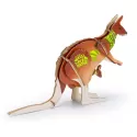 BRANDCRAFT Kangaroo Wooden Model Kit