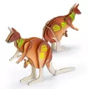 BRANDCRAFT Kangaroo Wooden Model Kit