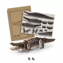 BRANDCRAFT Crocodile Wooden Model Kit