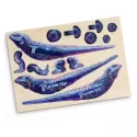 BRANDCRAFT Tuatara Wooden Model Kit