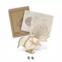 BRANDCRAFT Fantail Wooden Model Kit