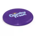 Large Flying Disc