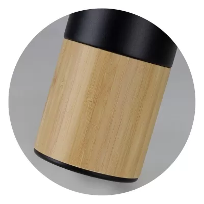 Mica Stainless Steel Vacuum Bottle