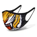 Custom Polyester Face Mask