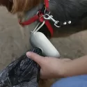 Pet Bag Dispenser