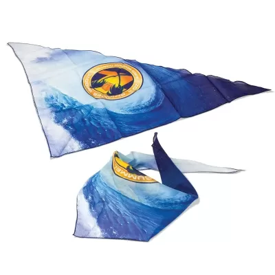 Triangle Polyester Bandana