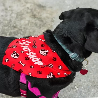 Large Pet Bandana