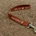 19mm 1.4m Poly Dog Leash