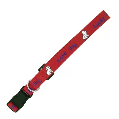 19mm Dog Collar