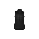 Alpine Womens Vest