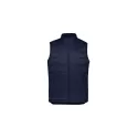 Alpine Mens Vest