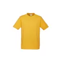 Ice Mens Short Sleeve Tee