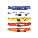 Destination Luggage Strap