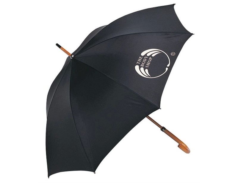 Executive 61cm Auto Open Wooden Handle Umbrella