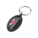 Rainbow 25 x 45mm Oval Aluminium Keyring