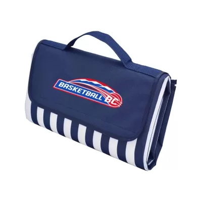 Ascot Extra Large Navy Picnic Rug