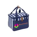 Ascot Navy Poly Picnic Cooler Bag
