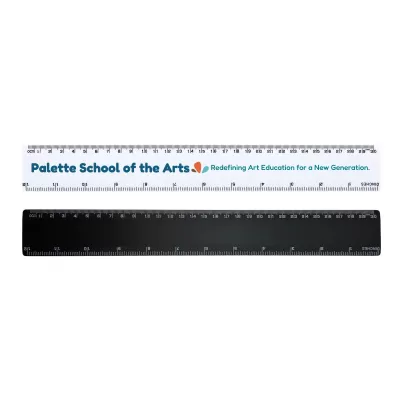 30cm ABS Ruler
